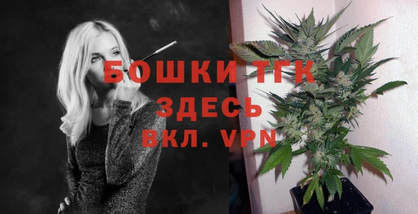 ешки Мегион