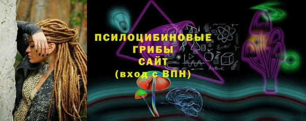 ешки Мегион