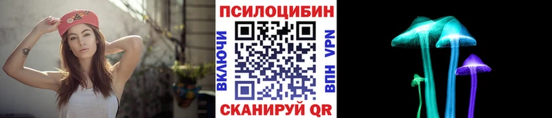 Купить где  Муравленко  Псилоцибиновые грибы Psilocybine cubensis 